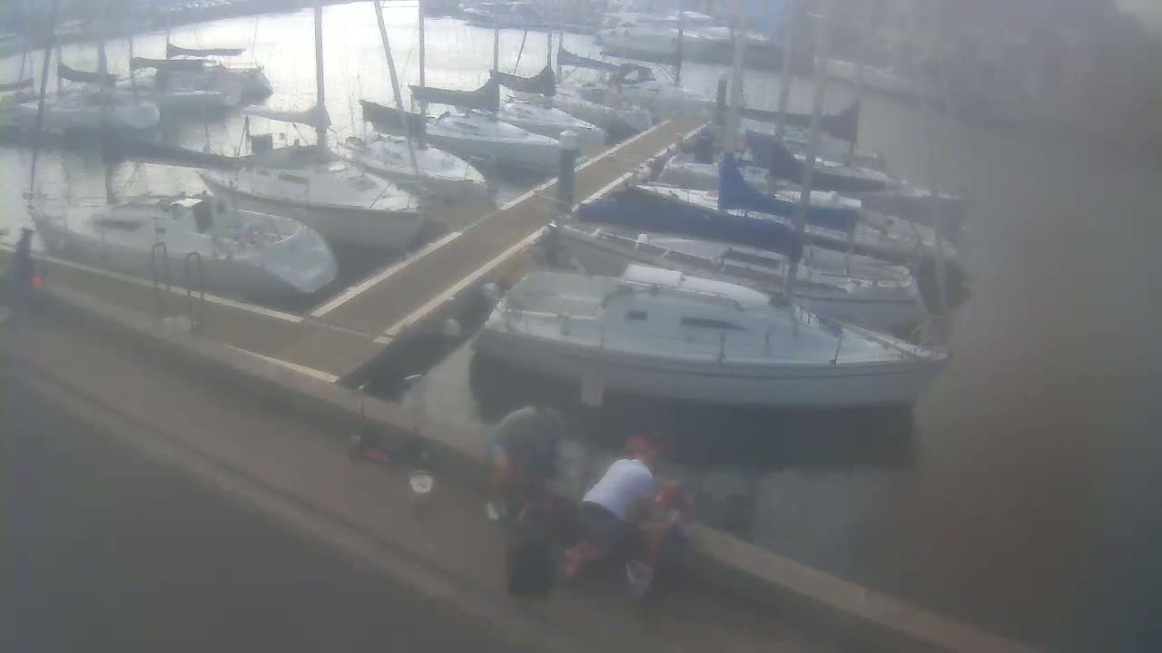 Many sailboats are docked at a marina on a foggy day, with several people gathered near the water's edge.