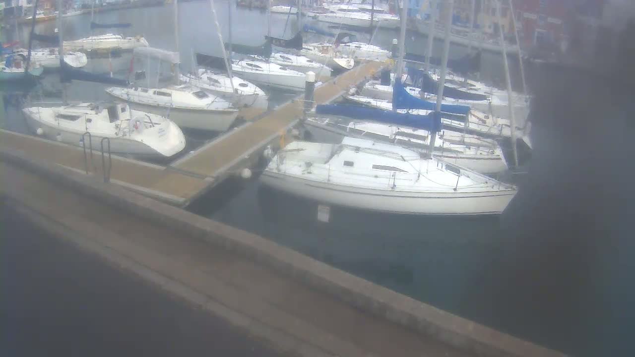 Numerous sailboats are moored in a harbor on a foggy day.