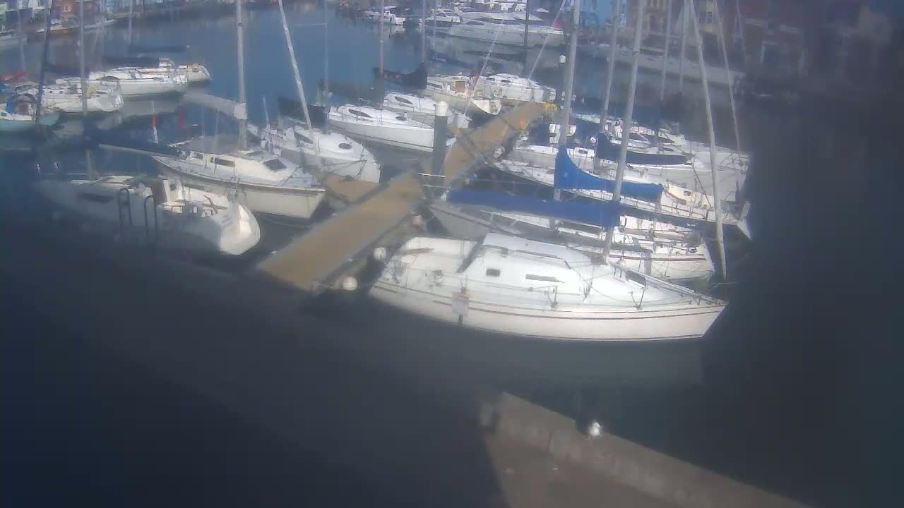 Many sailboats are docked in a marina on a sunny day.