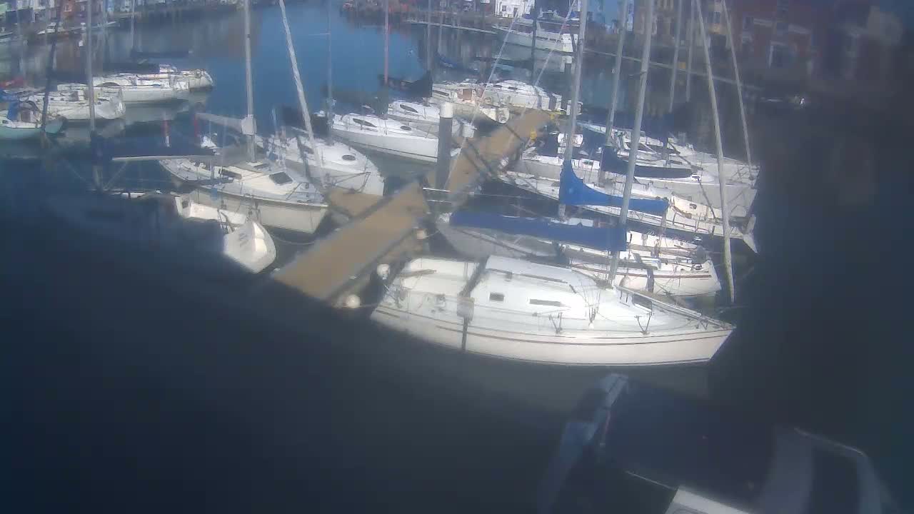 Many sailboats are docked in a marina on a sunny day.