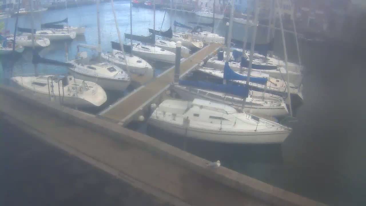 Many sailboats are docked at a marina on a calm, overcast day.