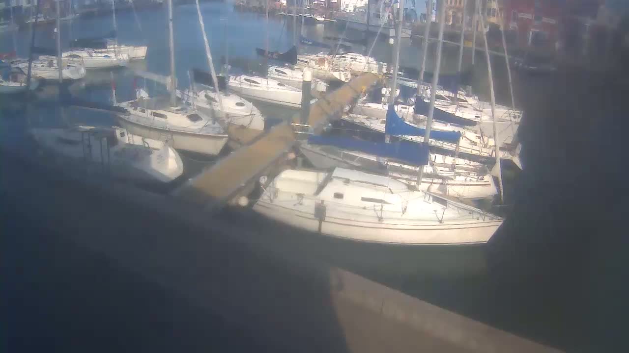 Many sailboats are moored in a calm harbor.