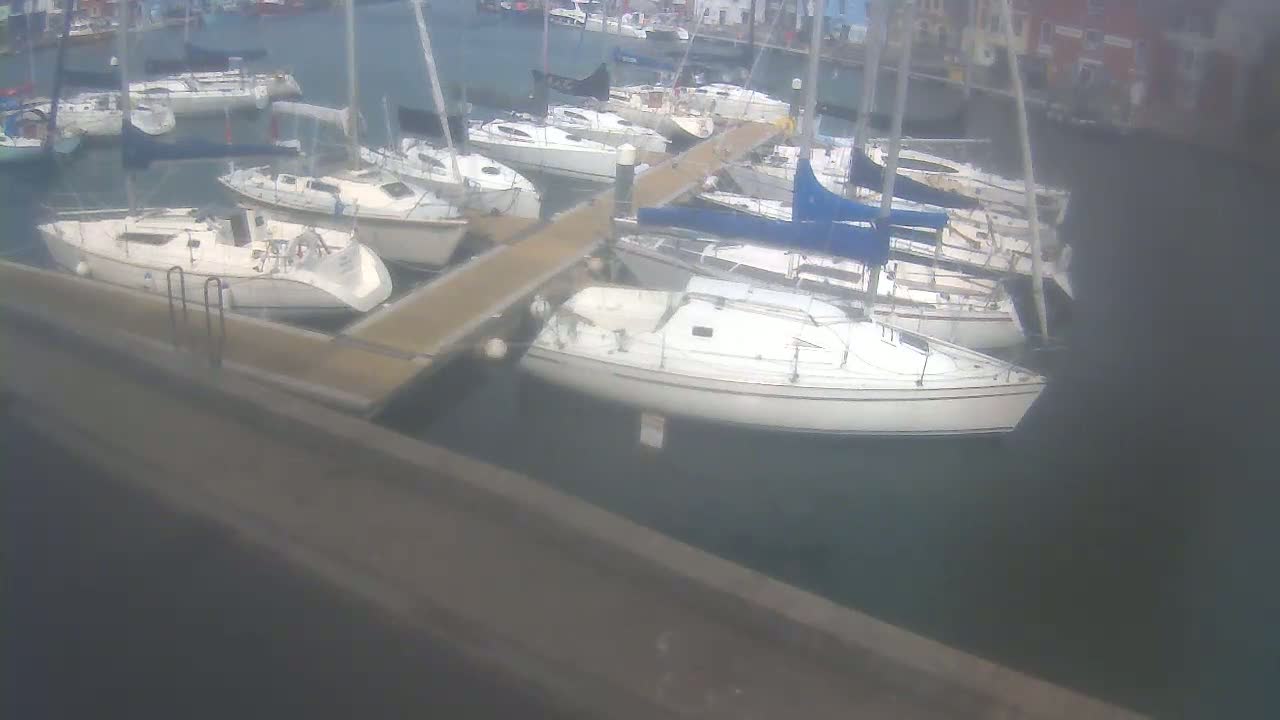 Several sailboats are docked at a marina on a calm day.