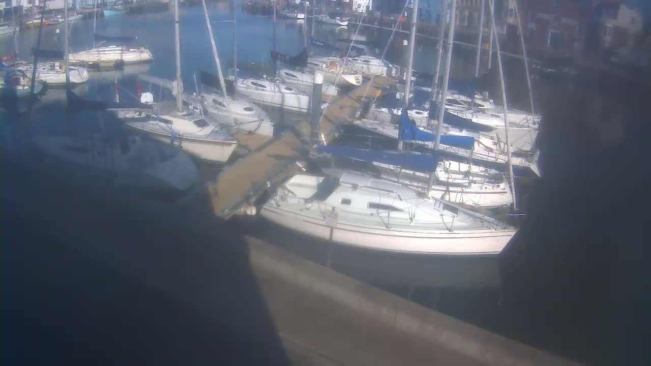 Many sailboats are docked in a marina on a sunny day.