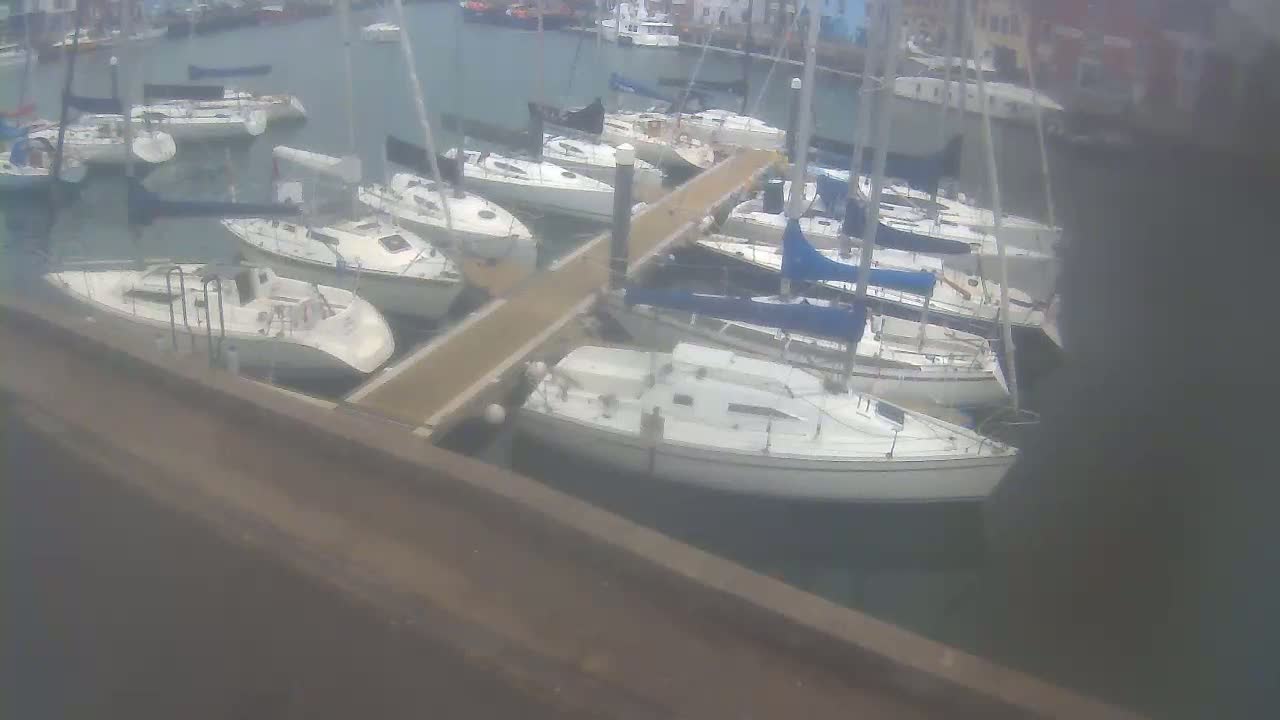 Several sailboats are docked at a marina on a calm day.