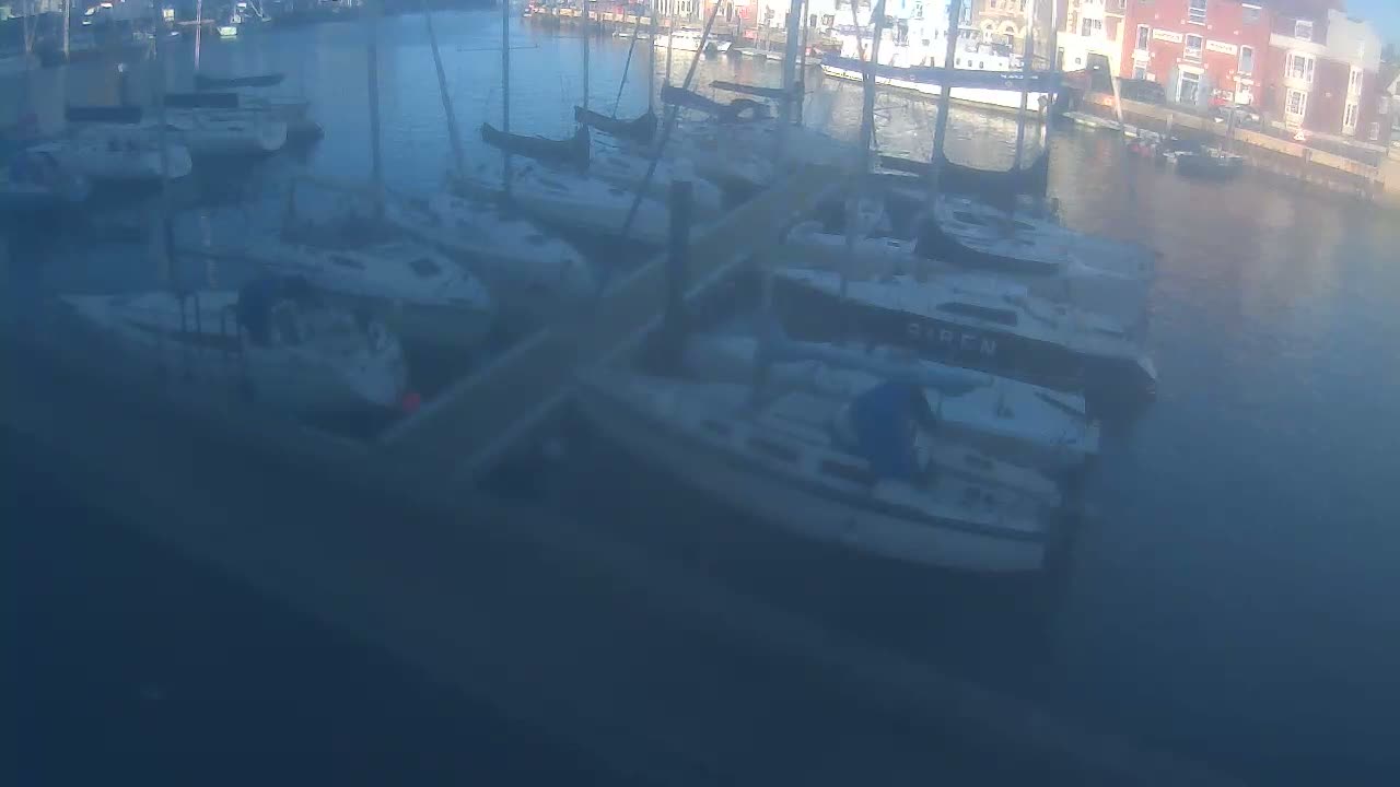 Numerous sailboats are moored in a calm marina, with waterfront buildings visible in the distance under bright, sunny conditions.