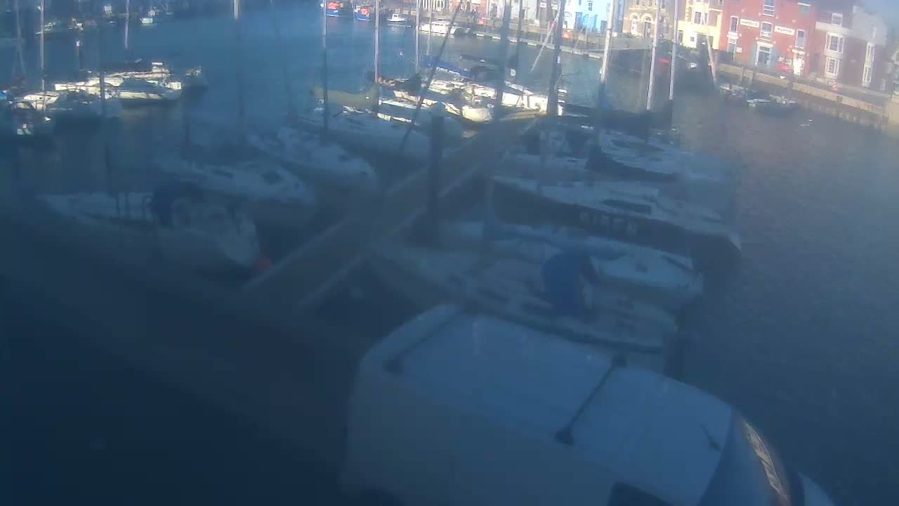 A busy marina filled with numerous boats and sailing yachts, with waterfront buildings lining the distant shore and a white vehicle partially visible in the foreground, is seen under an overcast sky.