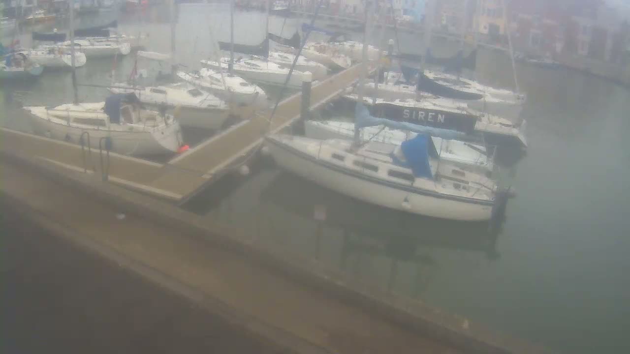 Numerous sailboats are docked in a hazy marina under overcast skies, with blurry buildings lining the distant shore.