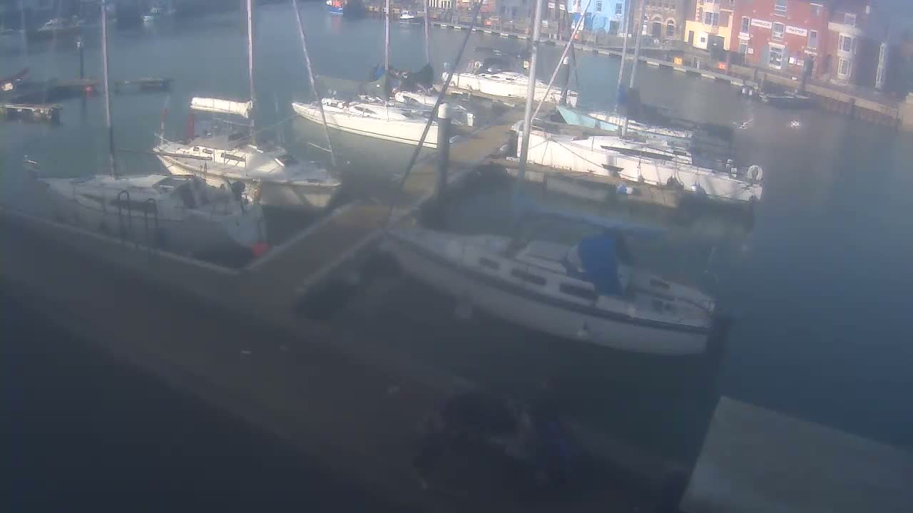 Numerous sailboats are docked in a hazy marina under overcast skies, with blurry buildings lining the distant shore.