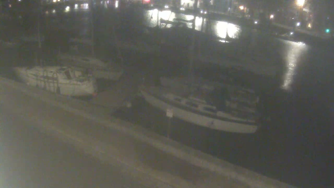 Numerous sailboats are docked in a hazy marina under overcast skies, with blurry buildings lining the distant shore.
