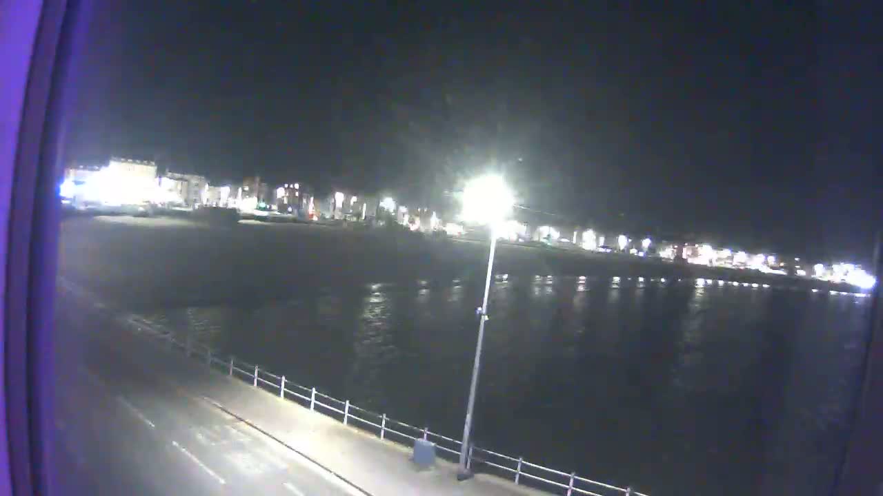 A nighttime view of a calm body of water next to a shoreline with buildings and streetlights visible in the distance.