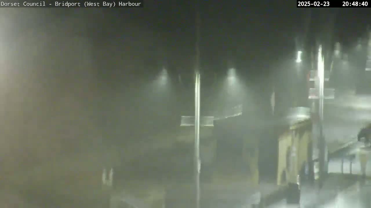 A nighttime, rain-swept scene shows indistinct buildings and streetlights under heavy, misty precipitation.