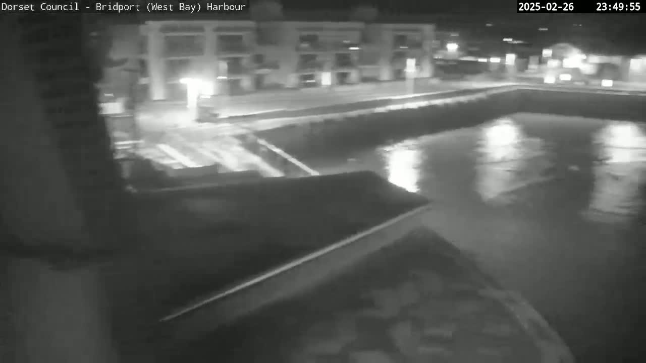 A nighttime, low-angle view shows a calm body of water reflecting lights from buildings and a roadway in the background.