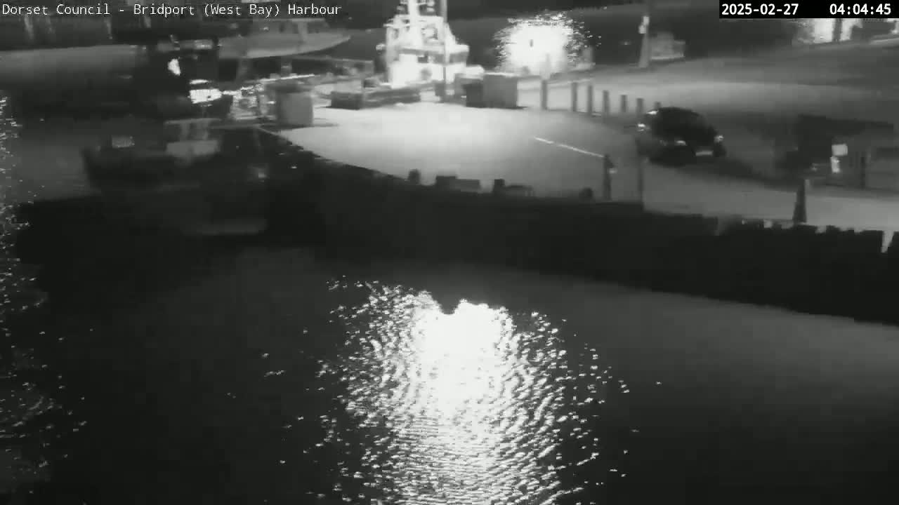 A nighttime, black-and-white view of a harbor shows a vehicle near a body of water reflecting light, with a boat visible in the background.