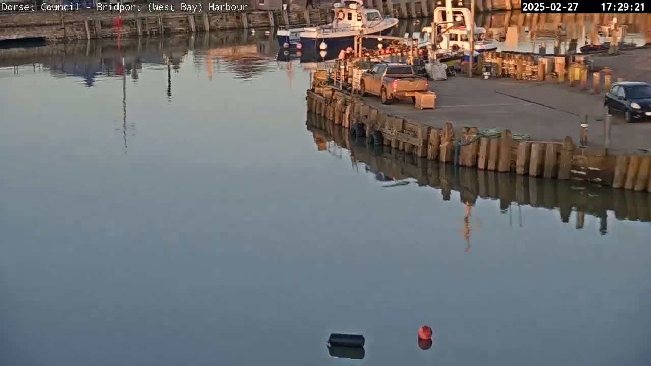 A calm harbor scene shows several boats moored near a dock, with a pickup truck parked on the dock, and a car parked further along the dock, reflecting in the still water.