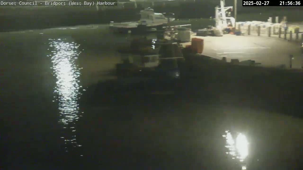 A nighttime view of a harbor shows calm water reflecting light, with boats and a dock visible in the background.