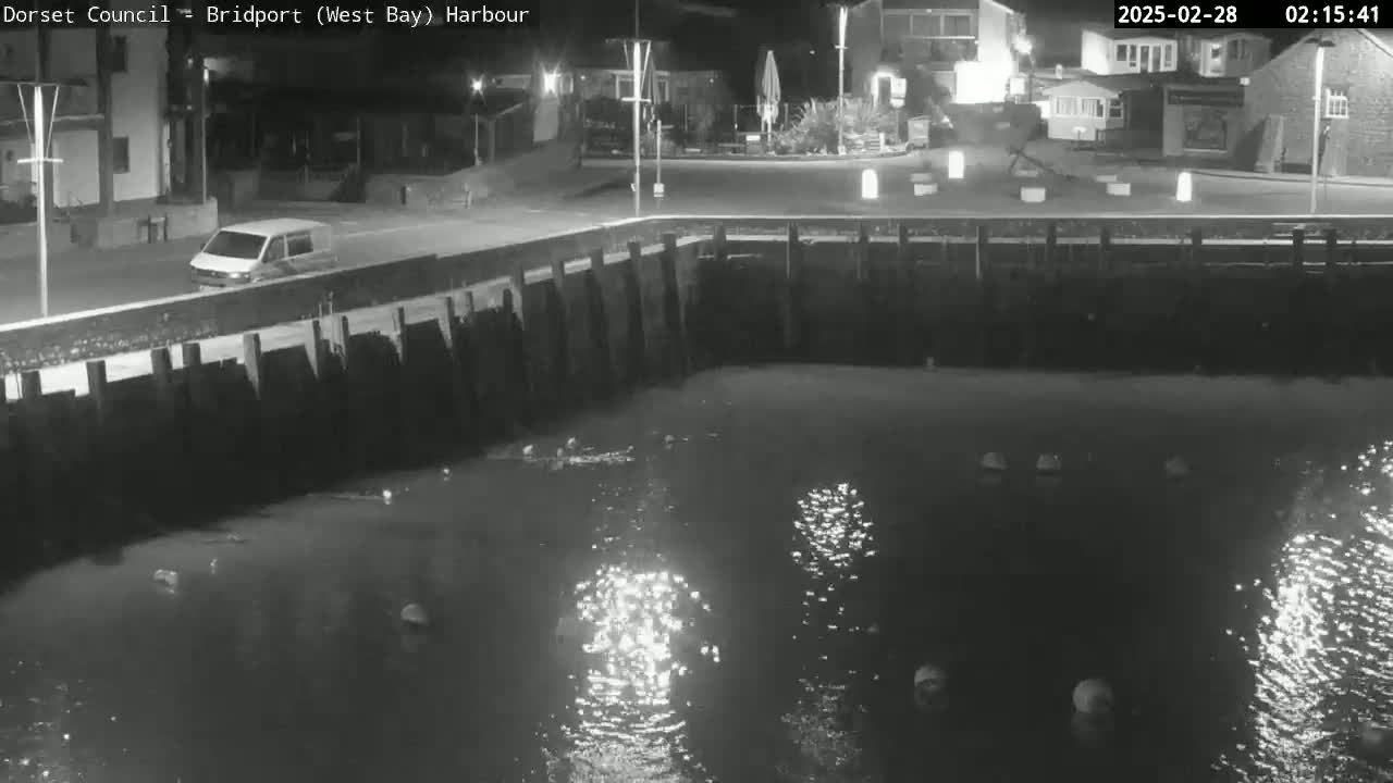 A nighttime, black-and-white view shows a van driving along a road next to a harbor where several objects float on the dark water.