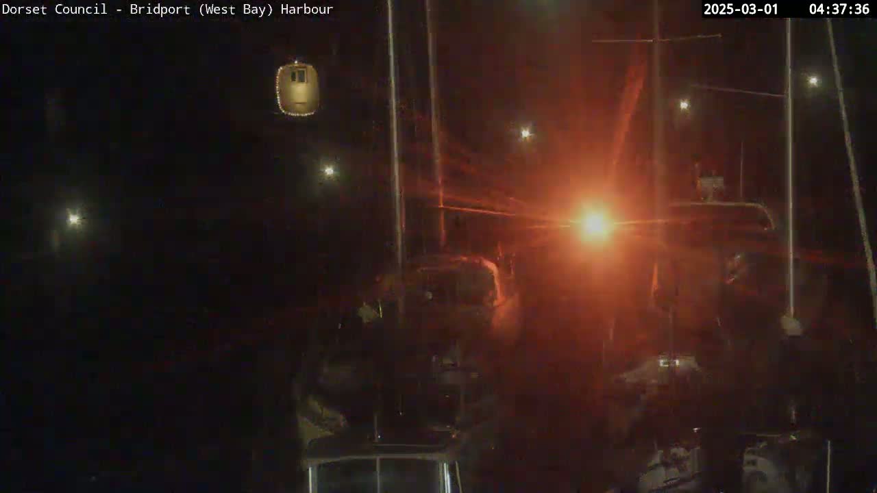 A nighttime harbor scene shows several dark vehicles illuminated by bright lights under a dark sky.