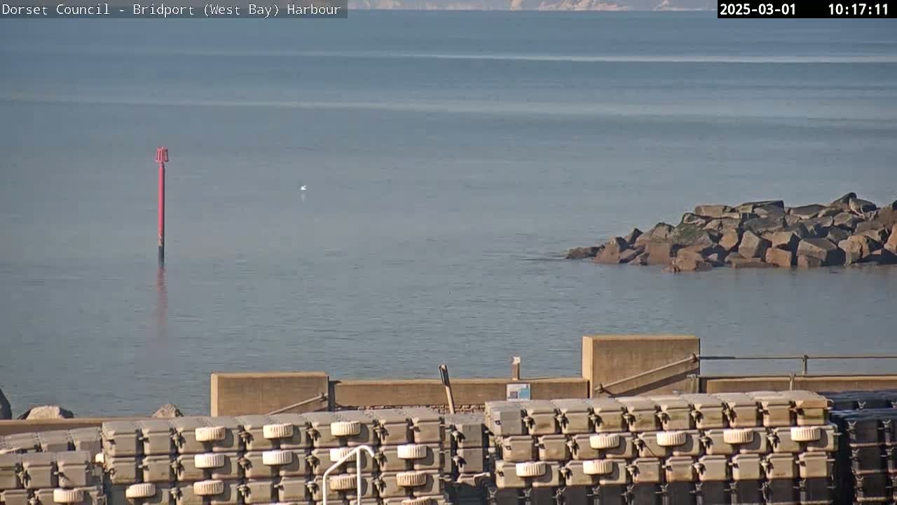 A calm harbor scene shows a red marker buoy, a rocky outcrop, and numerous stacked flotation devices along a seawall under a clear sky.