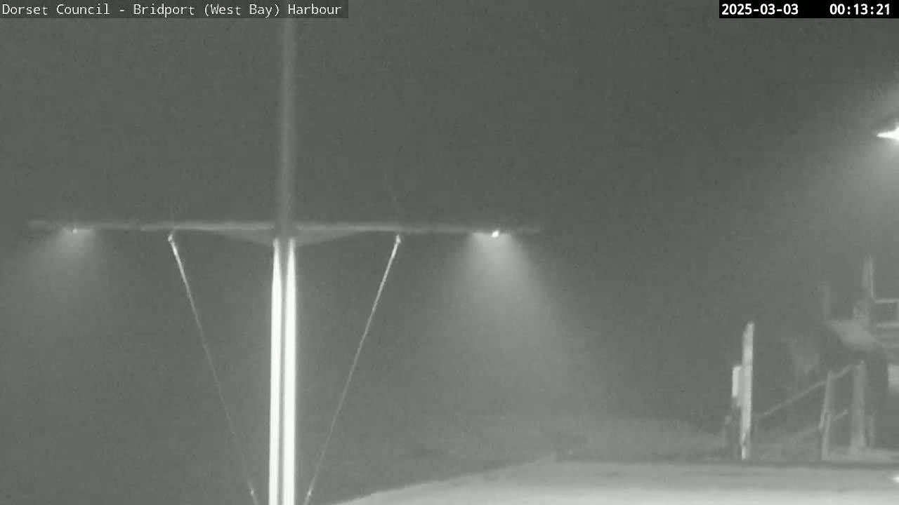 A nighttime, foggy scene shows a tall pole with lights extending horizontally, illuminating a mostly obscured harbor area.