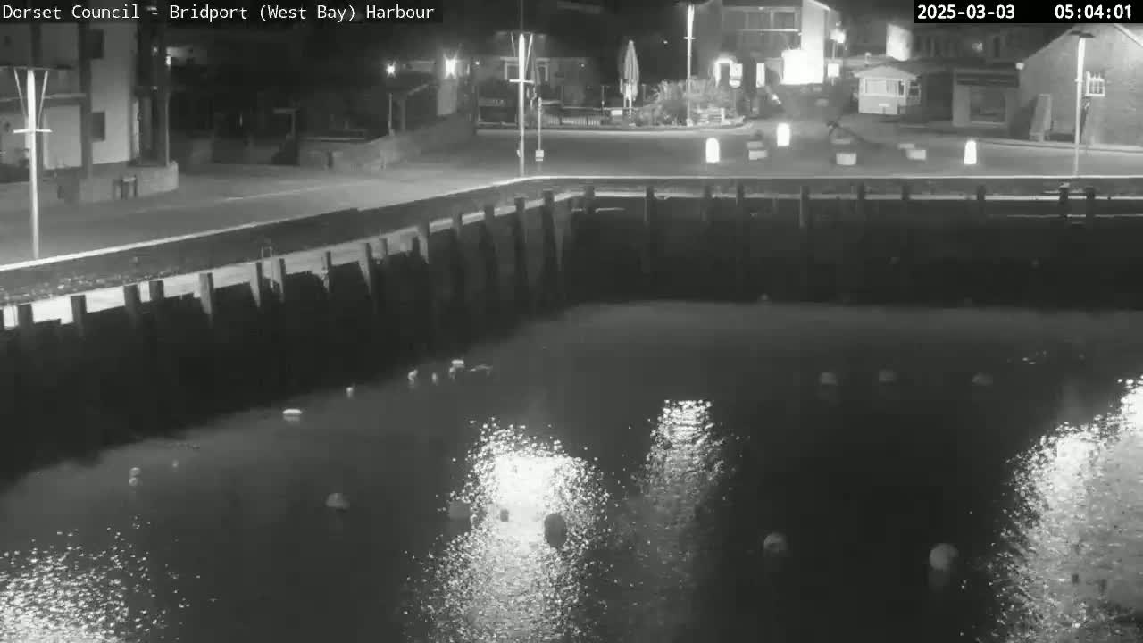 A nighttime, black and white view of a harbor with calm water reflecting lights from buildings on the shore.