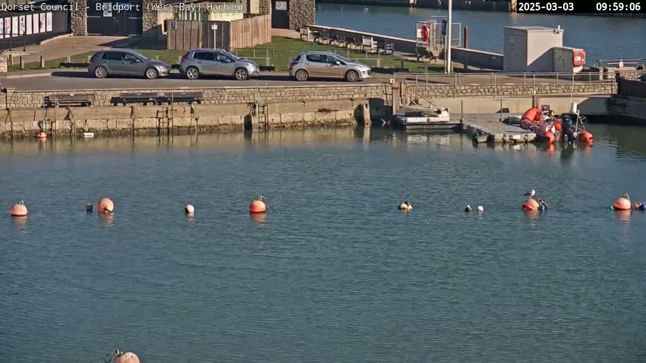 Several cars are parked near a harbor with calm water containing several orange buoys, a small boat on a dock, and some birds.