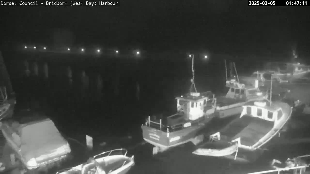 Several boats are moored in a harbor at night under dark conditions.