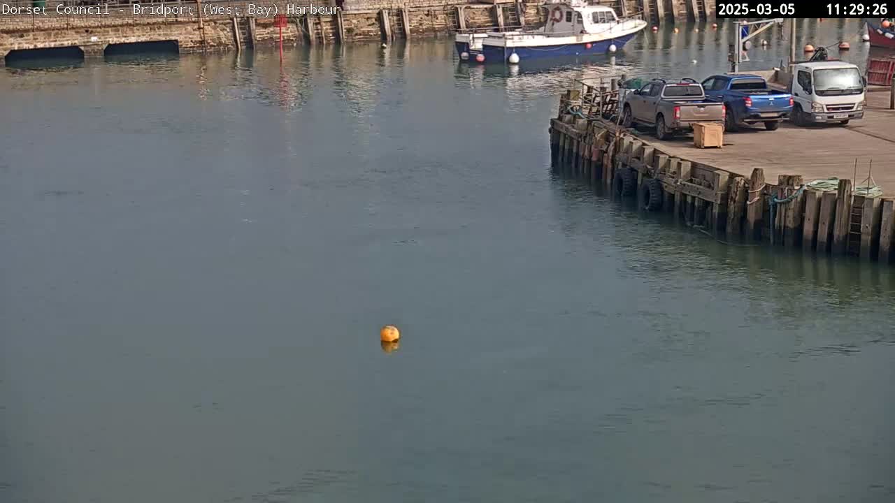 A calm harbor scene shows a small boat moored, several pickup trucks parked on a dock, and a single buoy floating in the water.