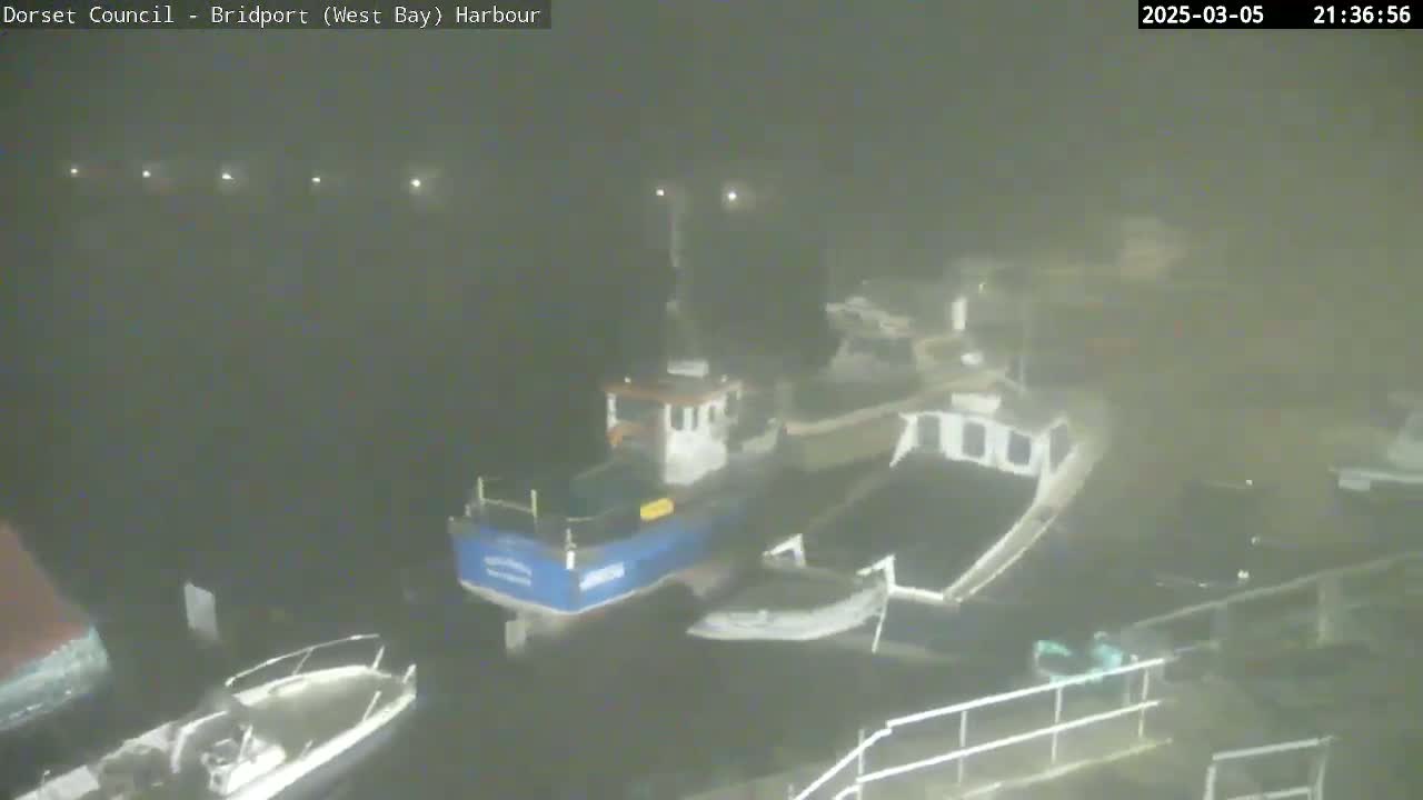 Several boats are docked in a harbor at night in foggy conditions.