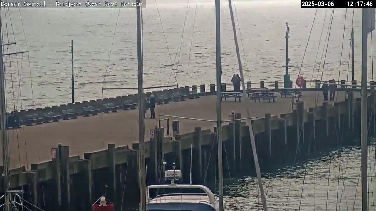 A harbor pier with several people standing around, boats moored alongside, and calm, gray water under an overcast sky.