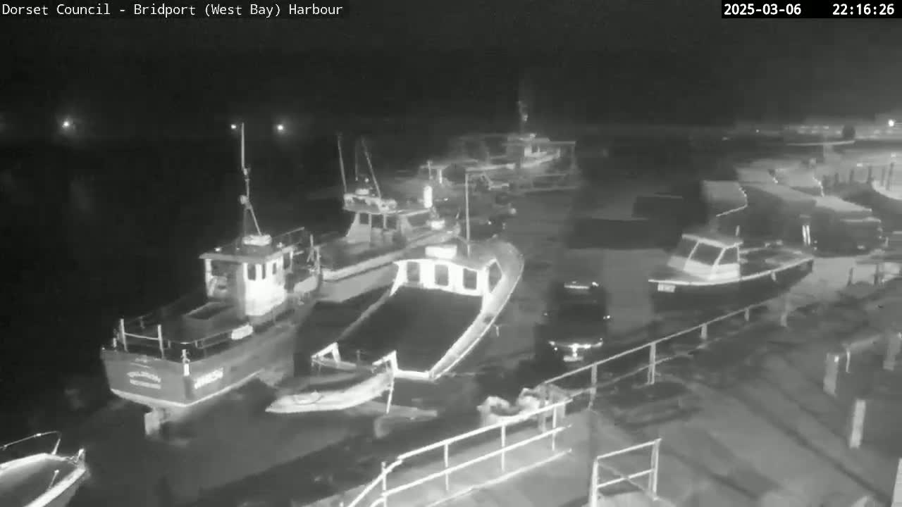 Several small fishing boats are docked at a harbor at night.