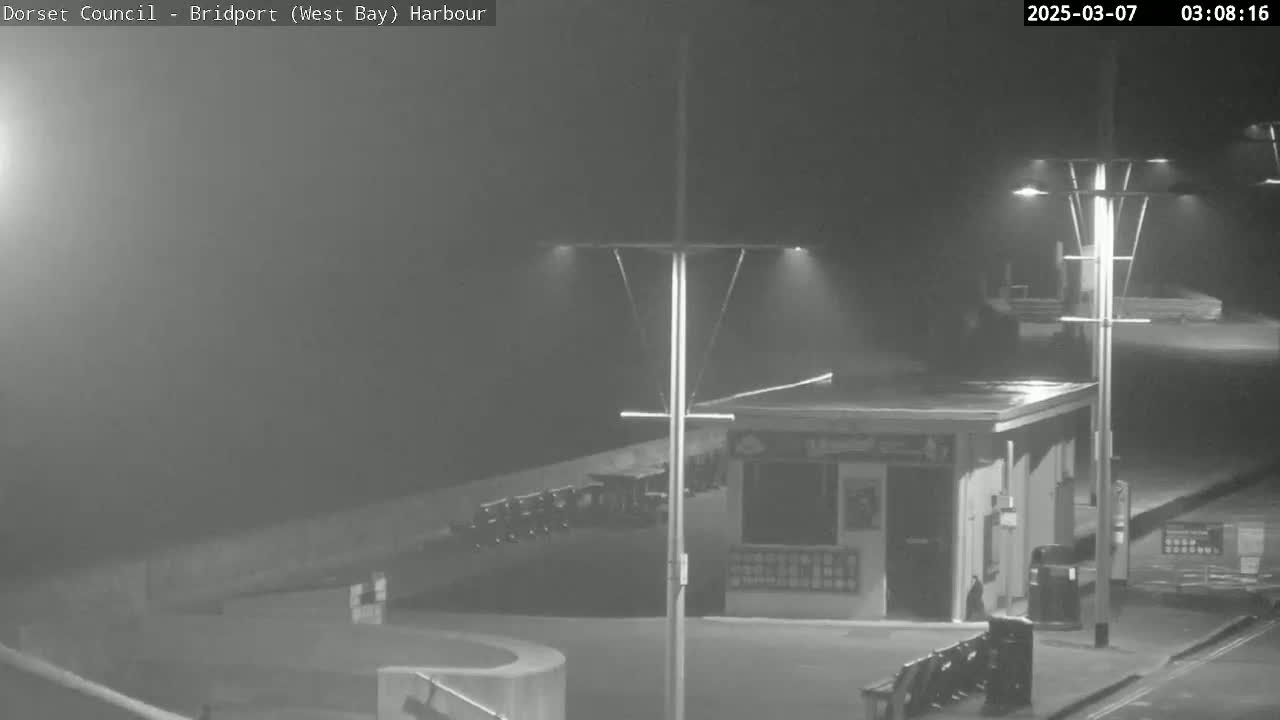 A nighttime, foggy view of a harbor, showing a small building lit by streetlights.