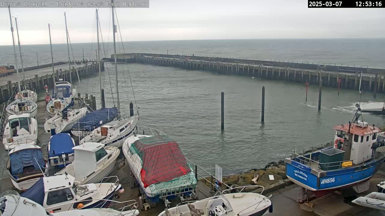 A harbor filled with numerous boats under an overcast sky, with choppy water visible beyond the harbor walls.