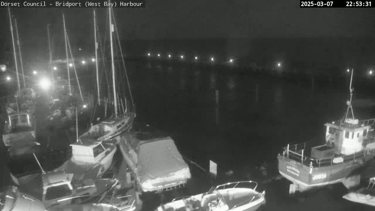 A nighttime harbor scene shows several boats moored, some covered, with calm water under a dark sky.