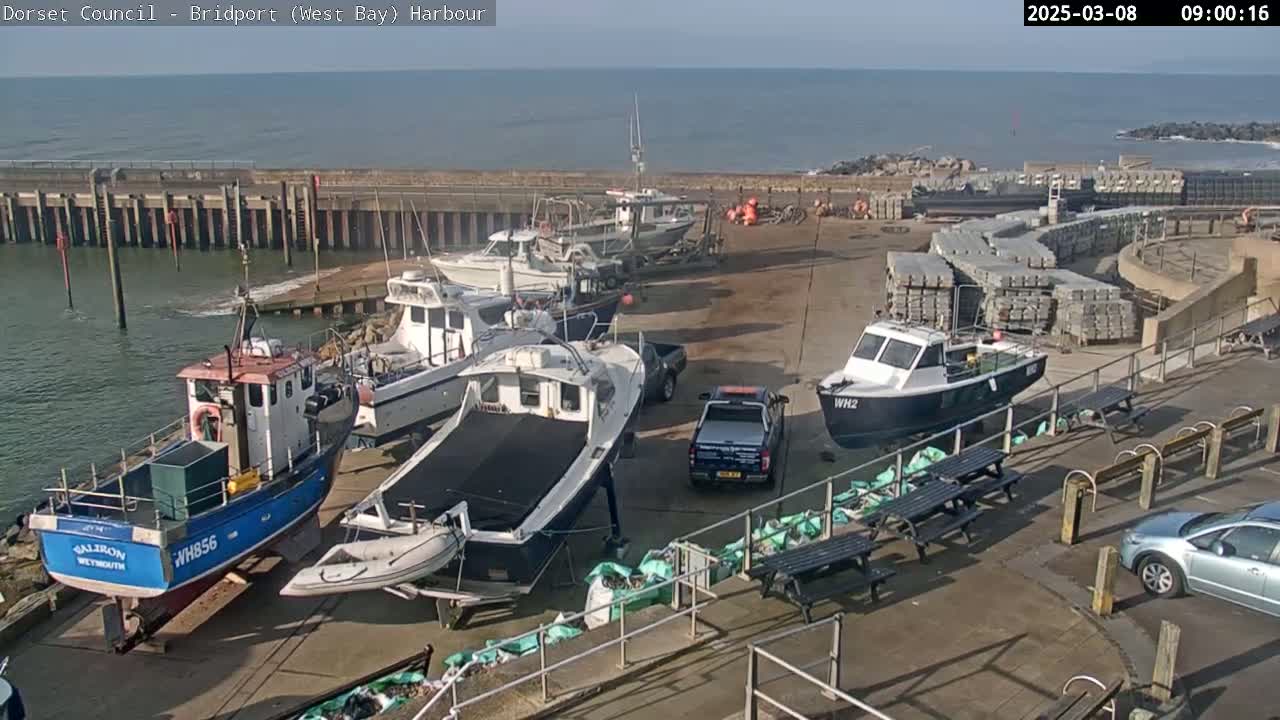 Several fishing boats are docked at a harbor on a sunny day, with a calm ocean visible in the background and a few vehicles parked nearby.