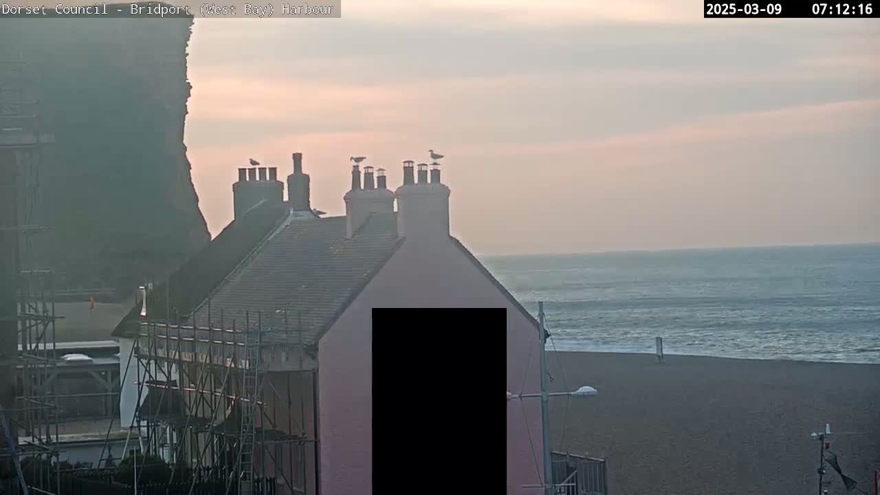 A pink building with scaffolding and several chimneys, on which birds are perched, overlooks a calm ocean beach under a hazy sky.