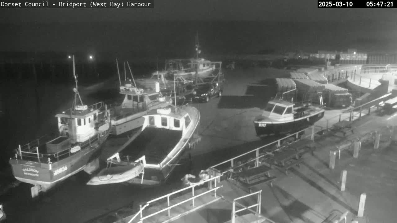 Several small fishing boats are docked at a harbor at night.