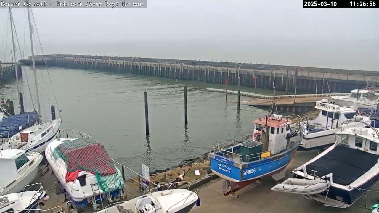 A harbor filled with various boats on a hazy day.