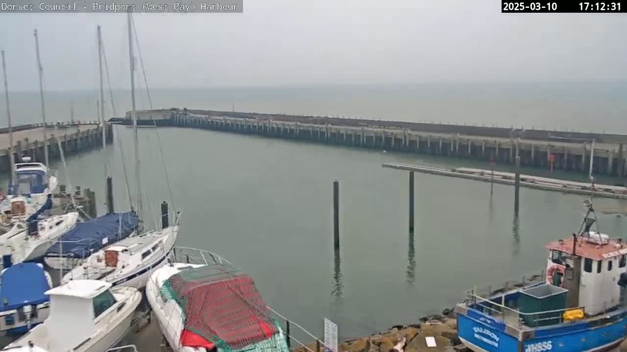A harbor filled with several boats on a hazy day.