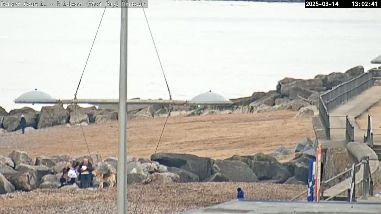 A rocky beach with a few people and a dog sitting near large rocks, a calm body of water in the background under an overcast sky.