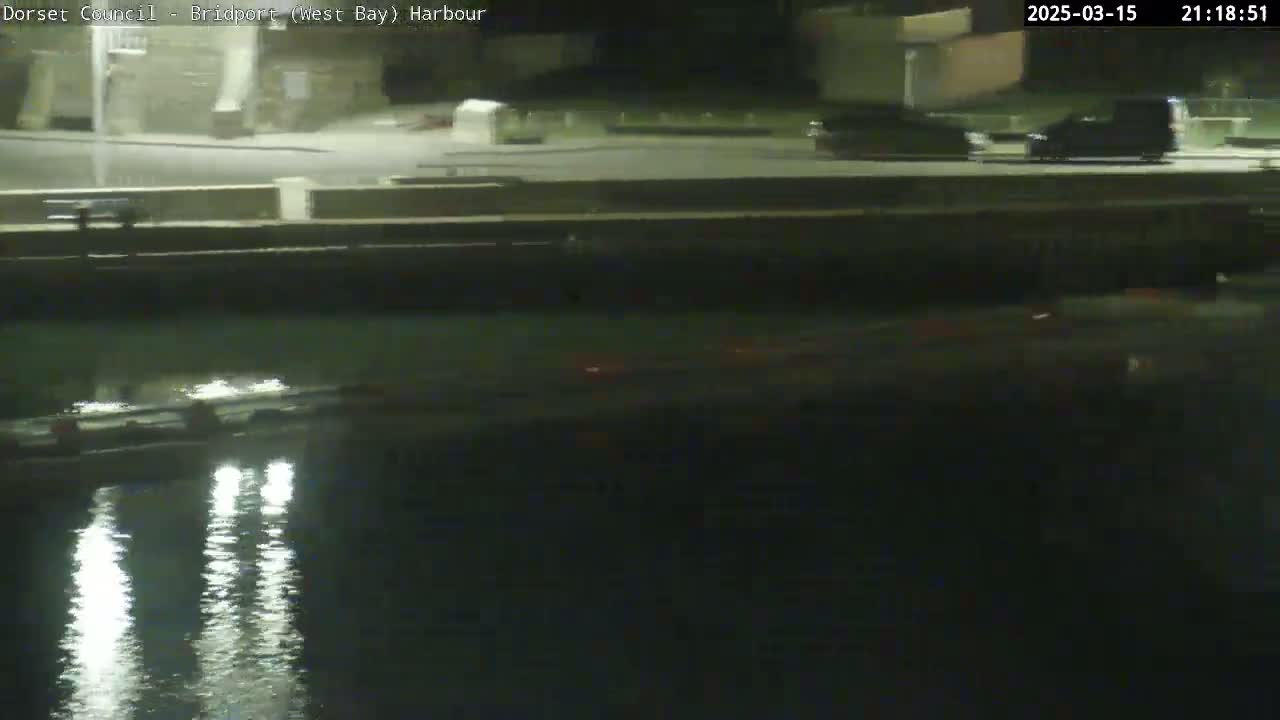 A nighttime view of a harbor shows a dark body of water reflecting lights, with a roadway and parked vehicles visible in the background.