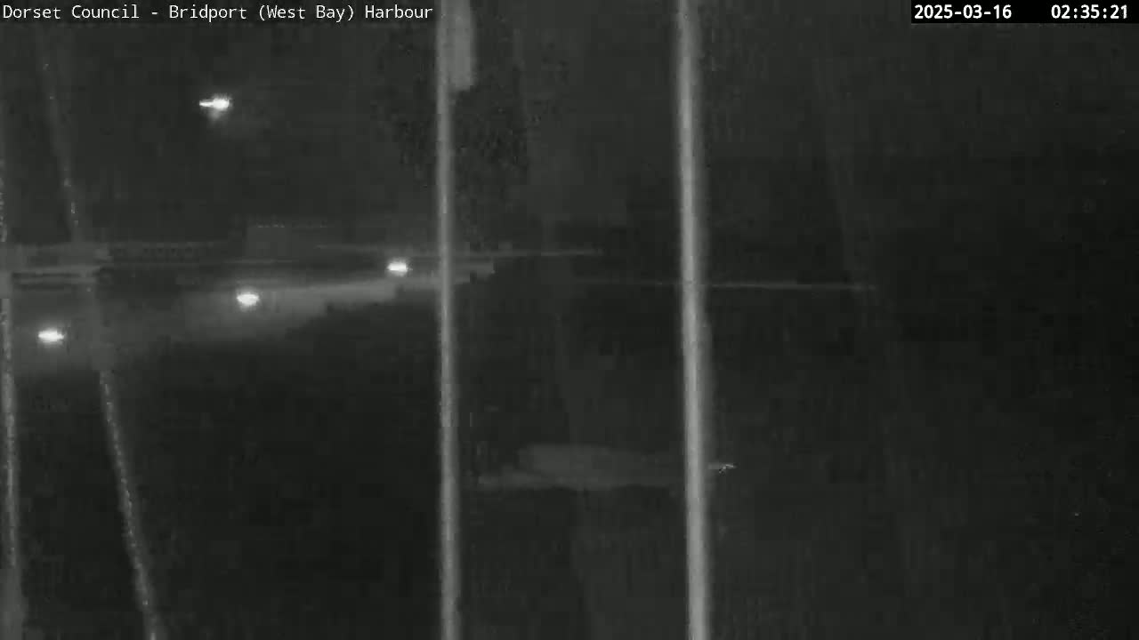 A nighttime, low-light view shows a dark harbor area with faint light sources and some vertical lines in the foreground, possibly from a security camera's view.