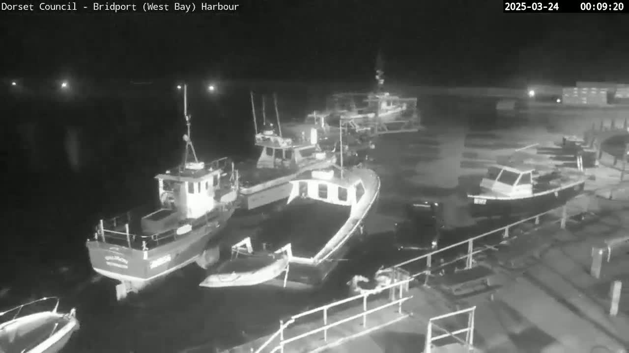 Several small boats are docked at a harbor at night under dark, clear skies.
