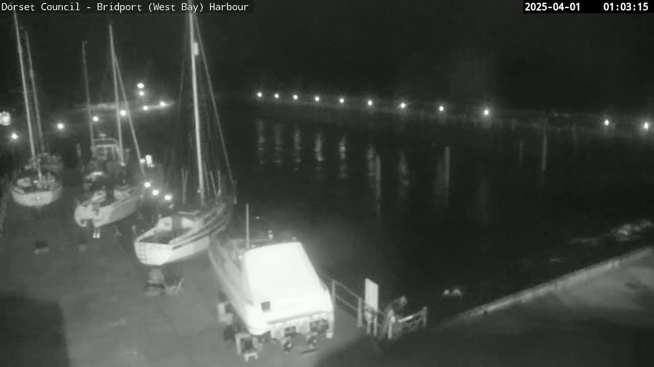 Several boats are docked at a harbor at night under dark conditions.