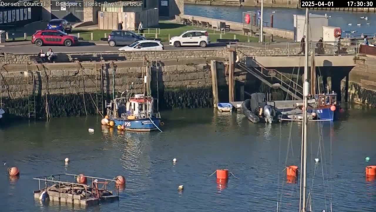 A harbor scene on a sunny day shows several small boats in calm water near a stone wall and a roadway with parked cars.