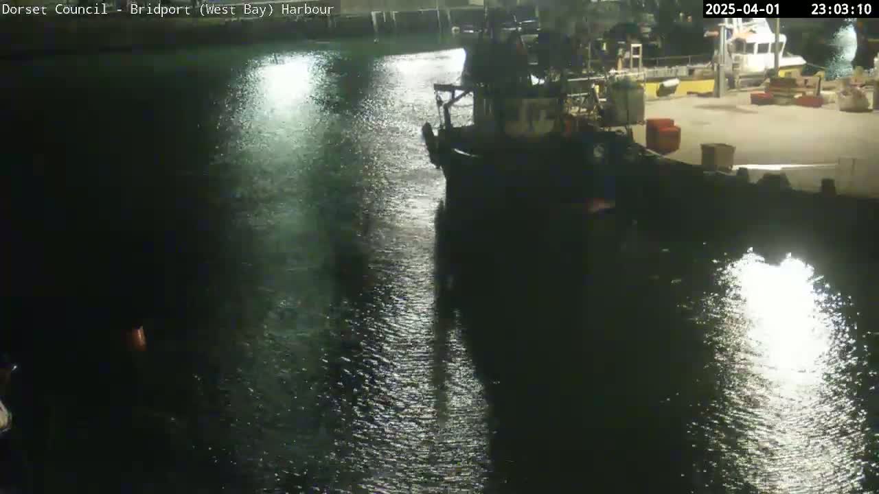 A dark, nighttime harbor scene shows a fishing boat moored alongside a dock, with calm water reflecting light.