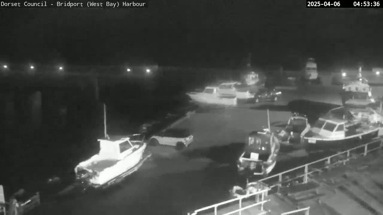 Several boats are docked at a harbor at night.