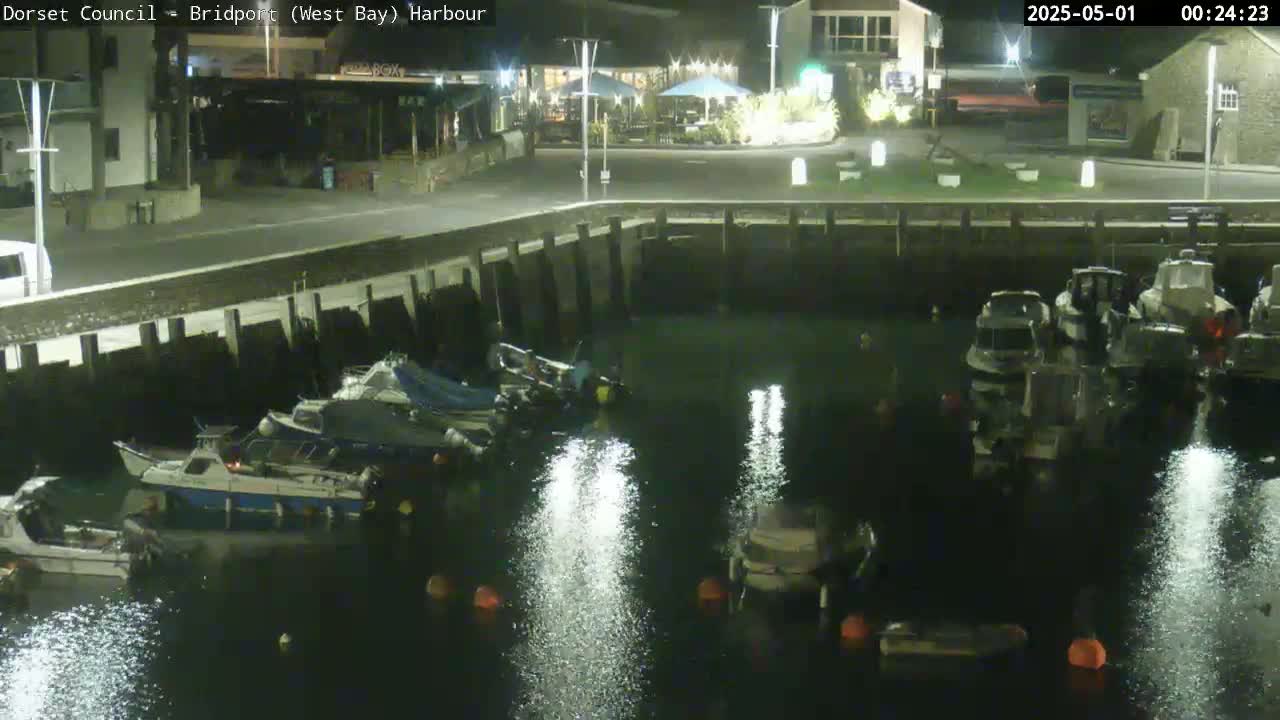 Several boats are moored in a dark harbor at night, under a clear sky.
