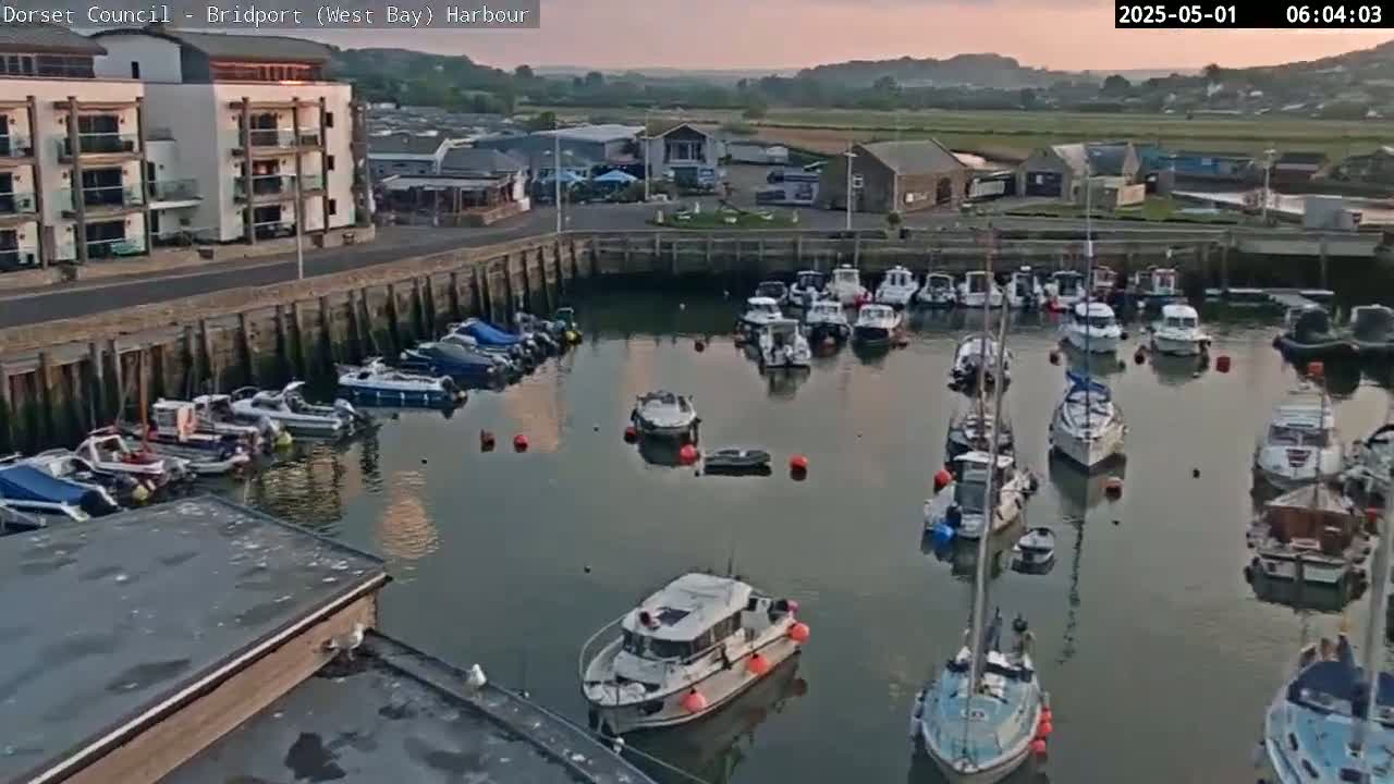 A harbor filled with numerous boats and yachts under a calm, dawn sky.