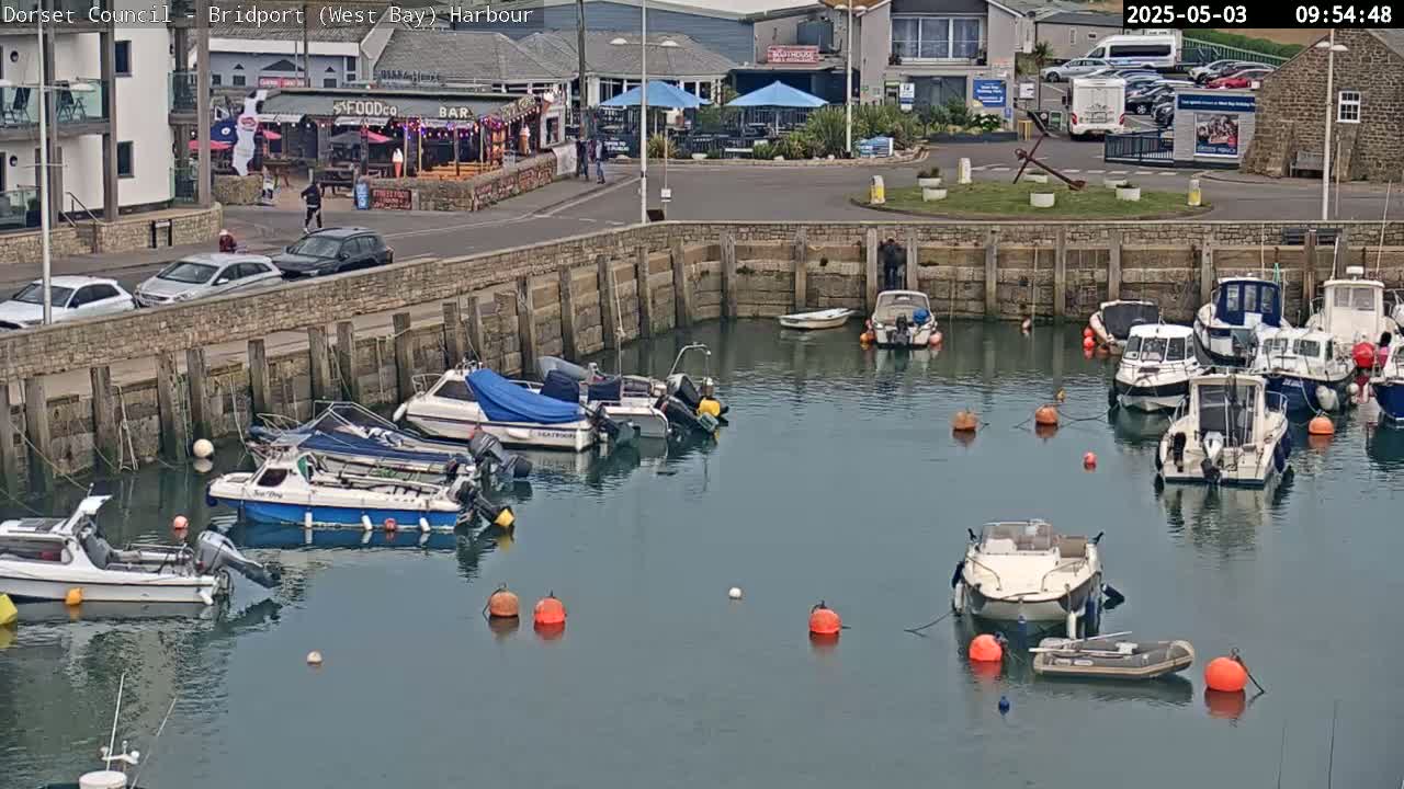 A harbor filled with numerous motorboats on a calm, sunny day, next to a waterfront with buildings and parked cars.